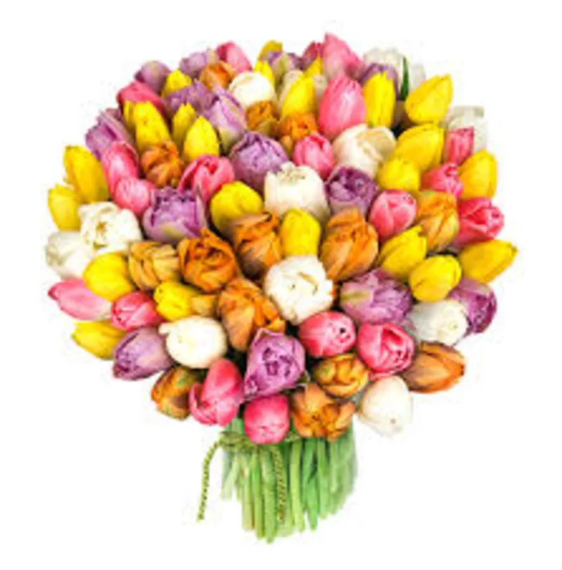 Цветы Тюльпаны к 8 марта,  оптом и в розницу.